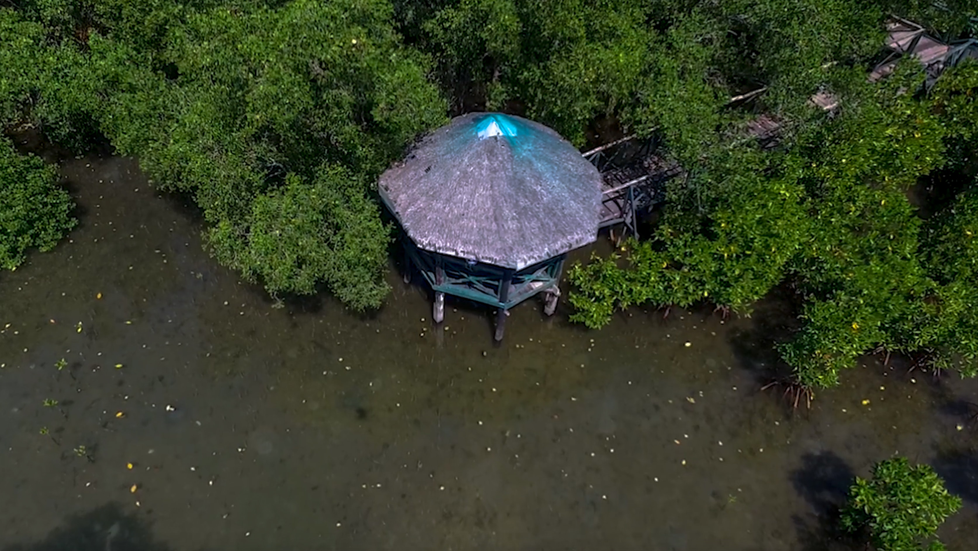 low drone shot of little hut in triboa bay mangrove park in subic zambales